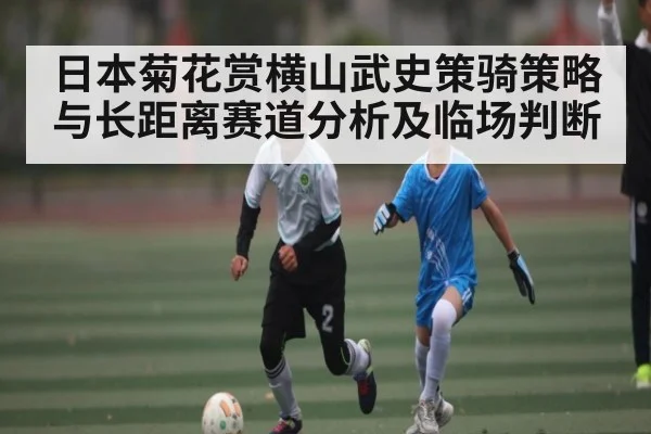 日本菊花赏横山武史策骑策略与长距离赛道分析及临场判断